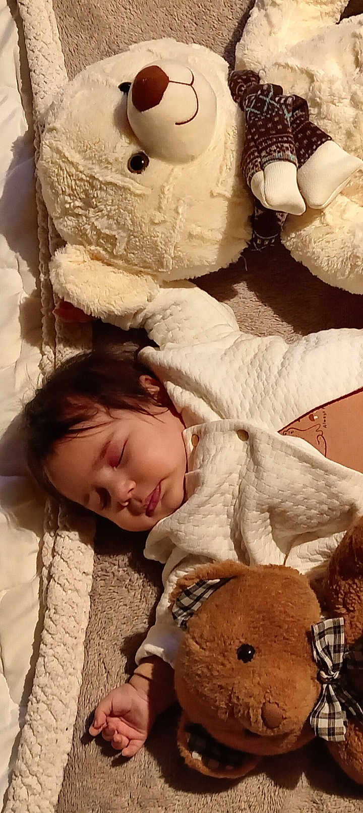 Zola a rejoint le concours — aidez-le/la à gagner de superbes lots ! baby, sleeping, teddy_bear, stuffed_animal, blanket, cuddle, child, cozy, soft_lighting, indoors, cute, nap_time, plush, comfort, bed, warm, peaceful, infant, toy, resting