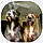Stella And Cuca