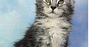 Camila joined the competition — help win amazing prizes! kitten, cat, fluffy, gray, white, fur, pet, animal, cute, portrait, sitting, young, ears, whiskers, paws, feline, indoor, soft, background, curious
