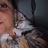 cat, kitten, person, face, sleeping, cuddle, indoor, pillow, bedroom, fur, pet, comfort, rest, closeup, warmth, animal, cute, snuggle, relaxation, soft