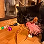 cat, black_cat, whiskers, feather_toy, playful, indoor, wooden_floor, pet, animal, close_up, toy, colorful, black_fur, white_paws, cute, domestic_cat, focus, floor, pet_toy, fun