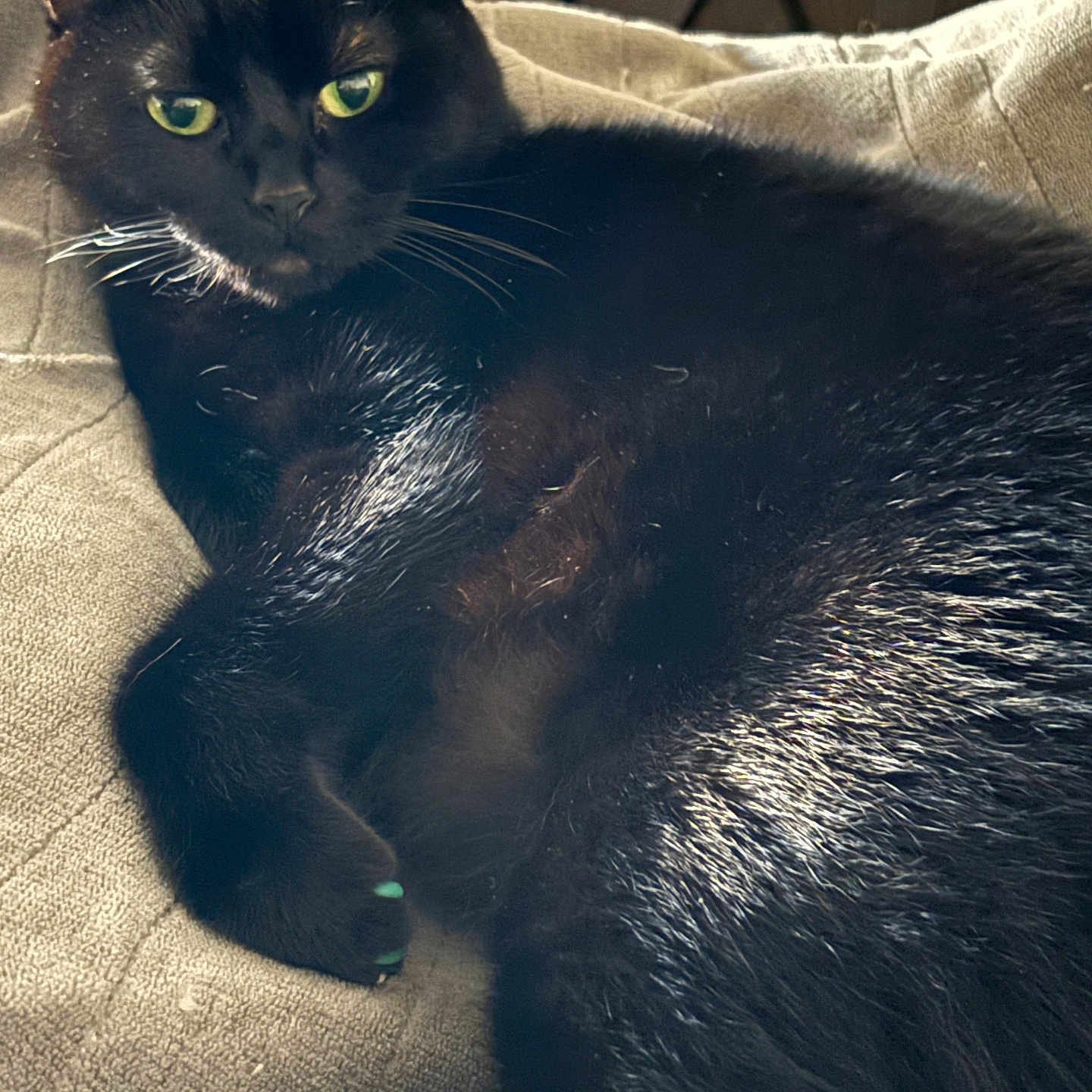 Salem