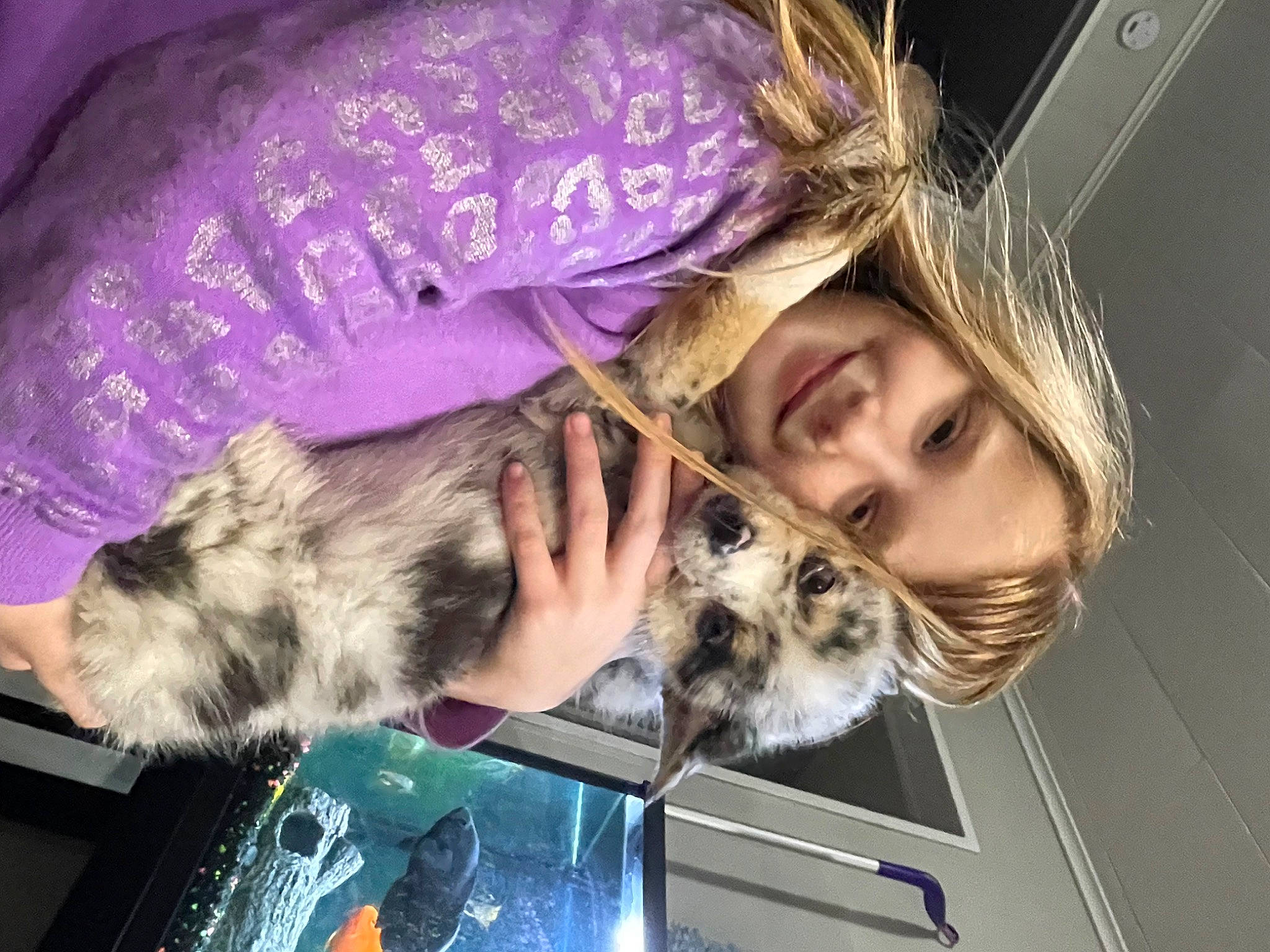 Shady joined the competition — help win amazing prizes! carnivore, child, comfort, companion_dog, dog, dog_breed, felidae, fun, fur, happy, mammal, paw, puppy, sitting, small_terrier, small_to_medium_sized_cats, smile, sporting_group, terrier, toy_dog