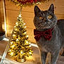 cat, gray_cat, amber_eyes, red_bow_tie, christmas_tree, golden_tree, christmas_lights, garland, wooden_wall, blanket, festive, holiday_decor, indoor, pet, animal, cute, cozy, decorations, soft_lighting, portrait