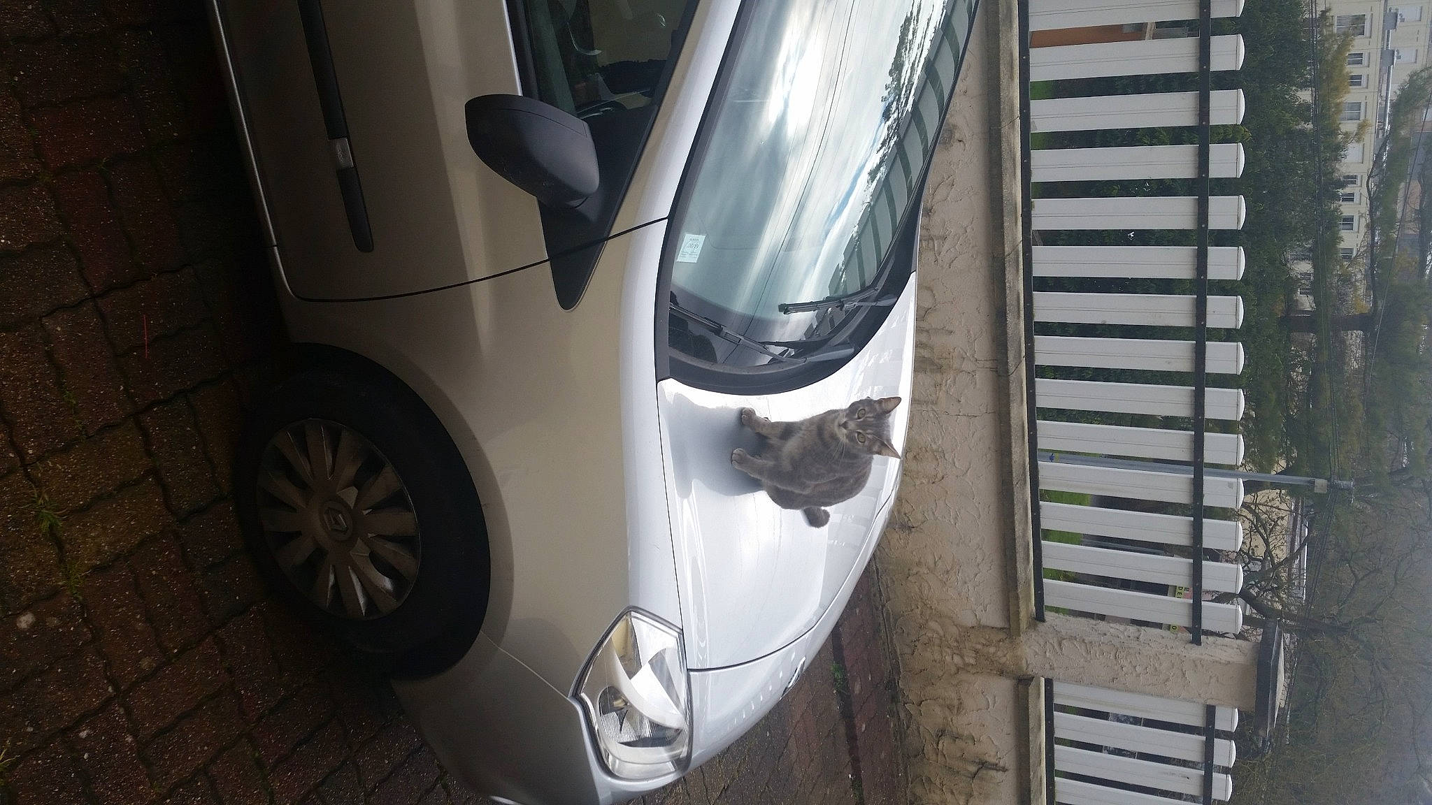 Elliot participe au concours pour gagner de l'argent avec cette photo : alloy_wheel, automotive_design, automotive_exterior, automotive_lighting, automotive_parking_light, automotive_side_view_mirror, automotive_tire, car, grey, grille, hood, land_vehicle, mode_of_transport, motor_vehicle, tire, tread, vehicle, vehicle_door, wheel, window