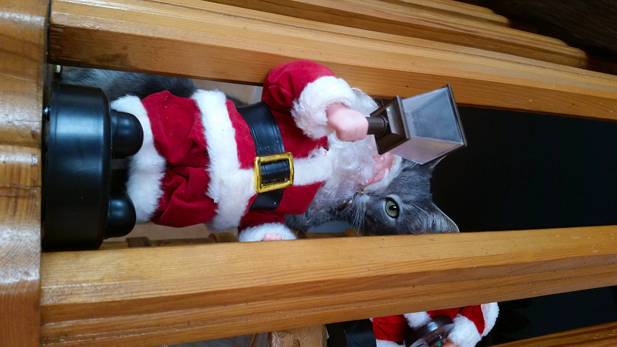 Elliot a rejoint le concours — aidez-le/la à gagner de superbes lots ! carmine, christmas, christmas_decoration, christmas_elf, christmas_eve, christmas_ornament, costume, costume_hat, event, fictional_character, fur, hat, headgear, holiday, lap, plush, santa_claus, stuffed_toy, toy, wood