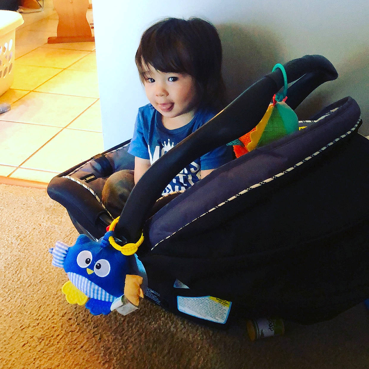 Franklin is registered to the contest to win money with this photo: baby, baby_carriage, blue, child, games, hand, person, play, product, shoe, toddler, toy, vacation