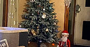 Ippy participe au concours pour gagner de l'argent avec cette photo : cat, sleeping, blanket, toy, christmas_tree, ornaments, santa_claus_figurine, indoor, home_decor, curtains, doorway, carpet, furniture, cozy, holiday, resting, tabby_cat, decorations, soft_lighting, relaxation