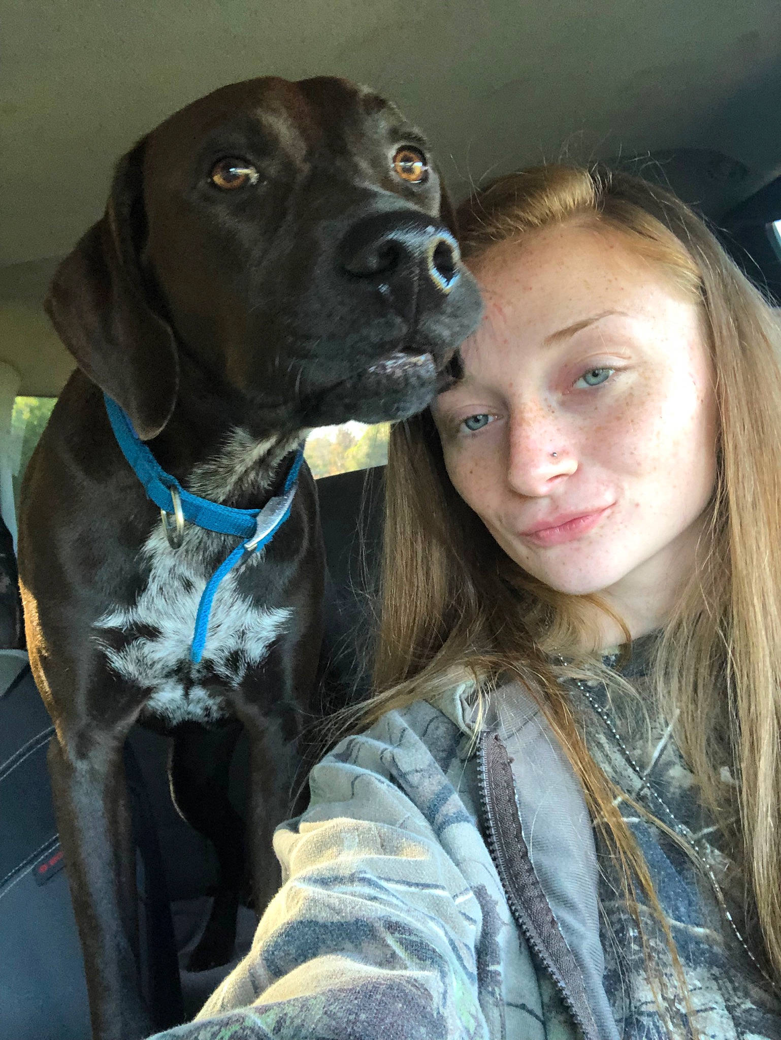 Braxton is registered to the contest to win money with this photo: canidae, carnivore, dog, dog_breed, fawn, guard_dog, mammal, plott_hound, snout, sporting_group