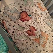 Elizabeth joined the competition — help win amazing prizes! newborn, baby, infant, sleeping, crib, blanket, swaddle, nursery, bed, pajamas, face, hands, feet, portrait, indoors, cozy, animal_pattern, bedding, wooden_crib, resting