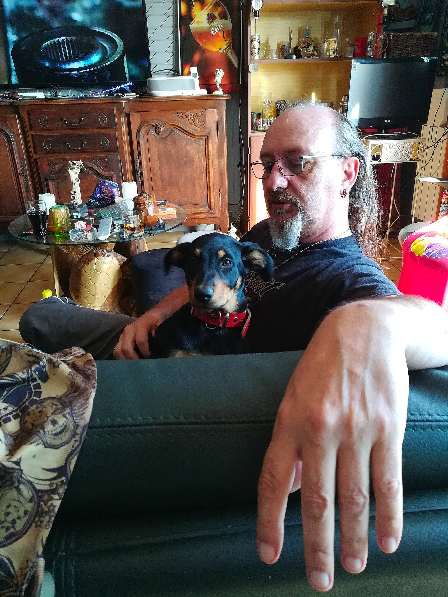 Rasta participe au concours pour gagner de l'argent avec cette photo : cabinetry, canidae, carnivore, chair, comfort, companion_dog, couch, dog, dog_breed, event, eyewear, fun, lamp, lap, living_room, picture_frame, room, sitting, tableware, toy