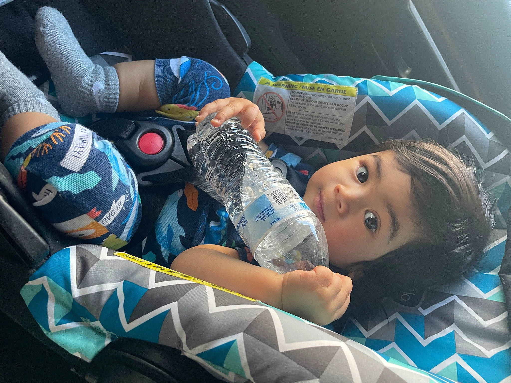 Liam is registered to the contest to win money with this photo: auto_part, automotive_design, automotive_lighting, automotive_tire, automotive_wheel_system, azure, bottled_water, car_seat, cool, drinking_water, electric_blue, fun, hood, human_leg, leisure, person, plastic_bottle, thigh, vehicle_door, water