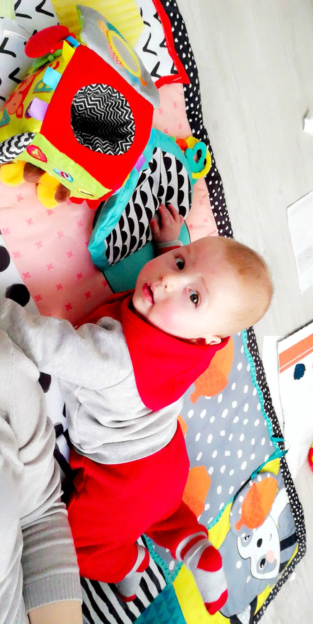 Timéo participe au concours pour gagner de l'argent avec cette photo : baby, baby_products, baby_toddler_clothing, baby_toys, carmine, cheek, child, comfort, fun, happy, linens, magenta, mammal, pattern, person, pink, play, textile, toddler, toy