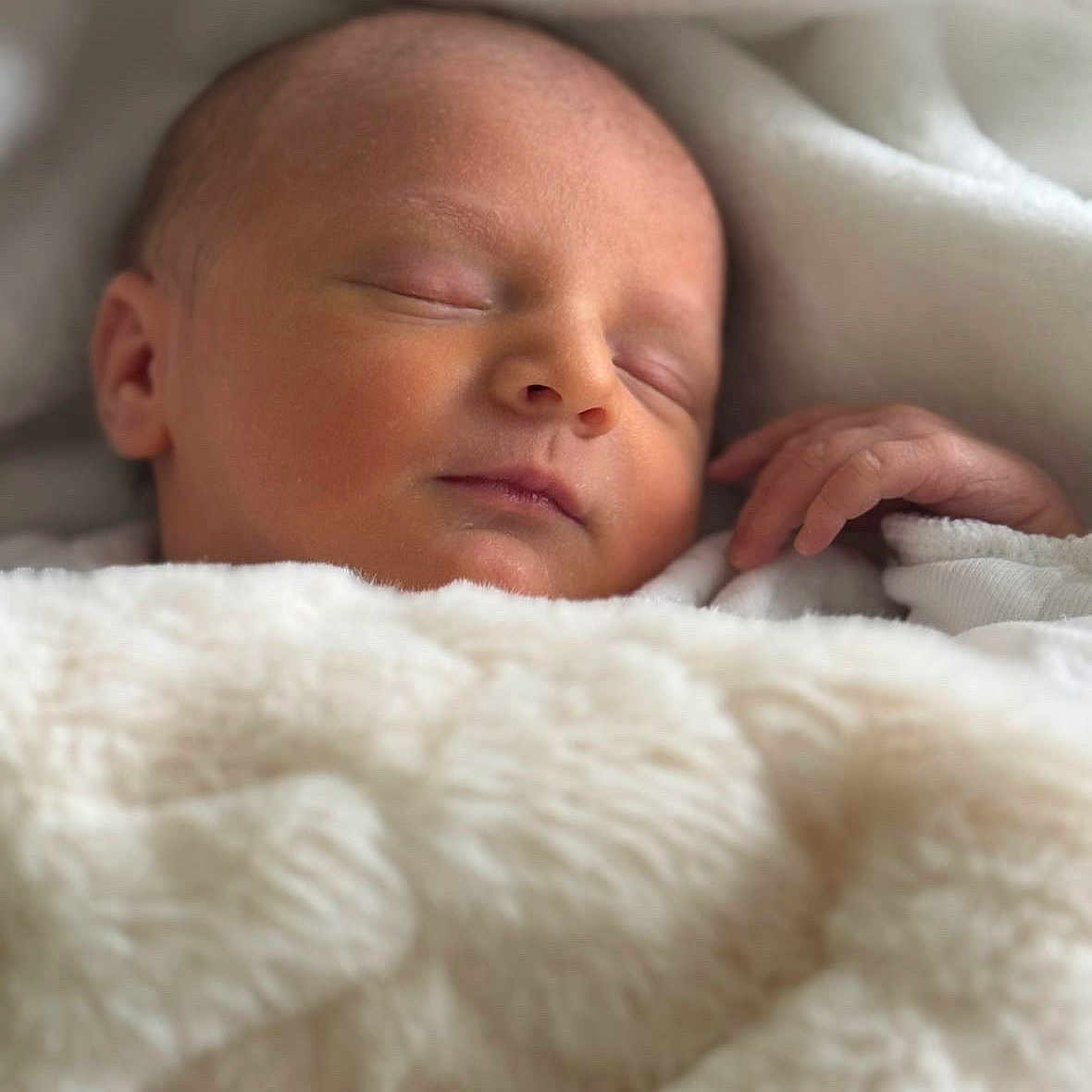 Ezio a rejoint le concours — aidez-le/la à gagner de superbes lots ! animal, baby, blanket, cat, face, head, newborn, person, pet, photography, portrait, quilt, sleeping