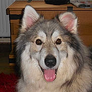 Luna is registered to the contest to win money with this photo: