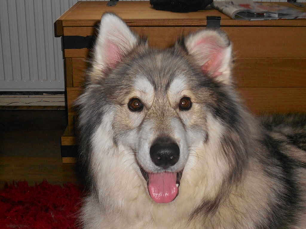 Luna is registered to the contest to win money with this photo: