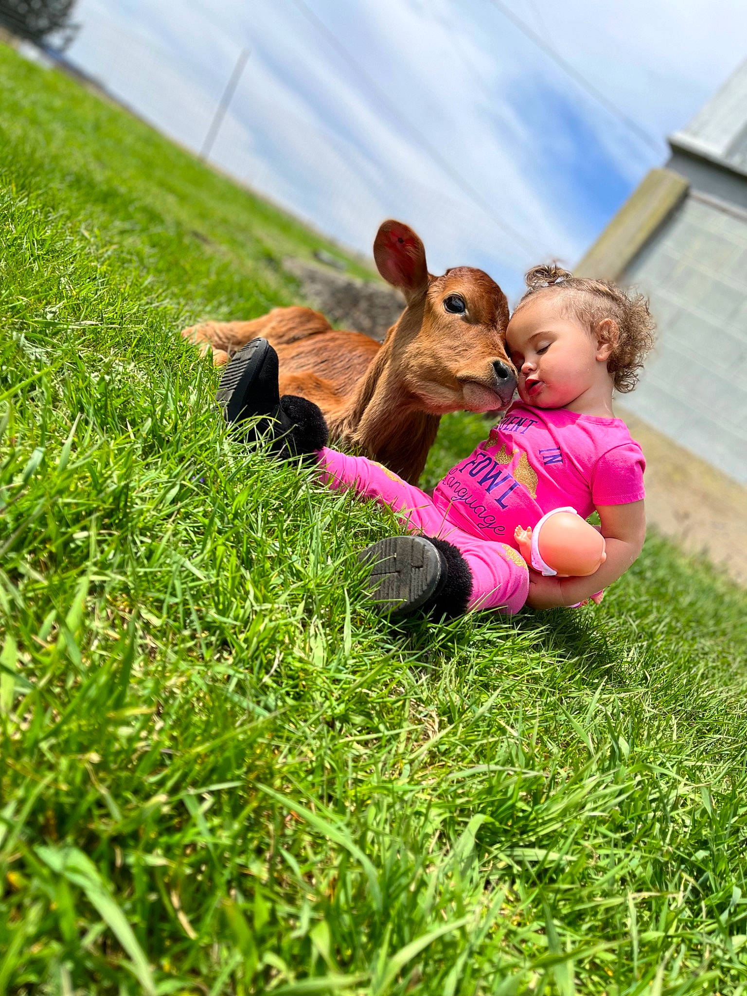 Mariana is registered to the contest to win money with this photo: cloud, companion_dog, fawn, gesture, grass, grass_family, grassland, happy, lawn, leg, leisure, meadow, pasture, people_in_nature, person, rabbits_and_hares, sky, snout, toy, window