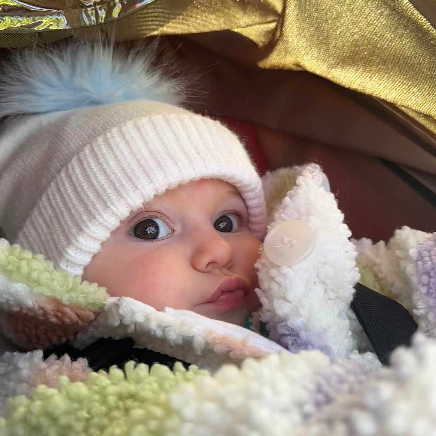 Dandie joined the competition — help win amazing prizes! baby, bed, blanket, bonnet, cap, clothing, coat, costume, face, furniture, hat, head, hood, jacket, newborn, person, photography, portrait, quilt, sleeping
