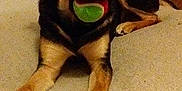 Disa is registered to the contest to win money with this photo: