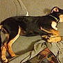 Disa is registered to the contest to win money with this photo: