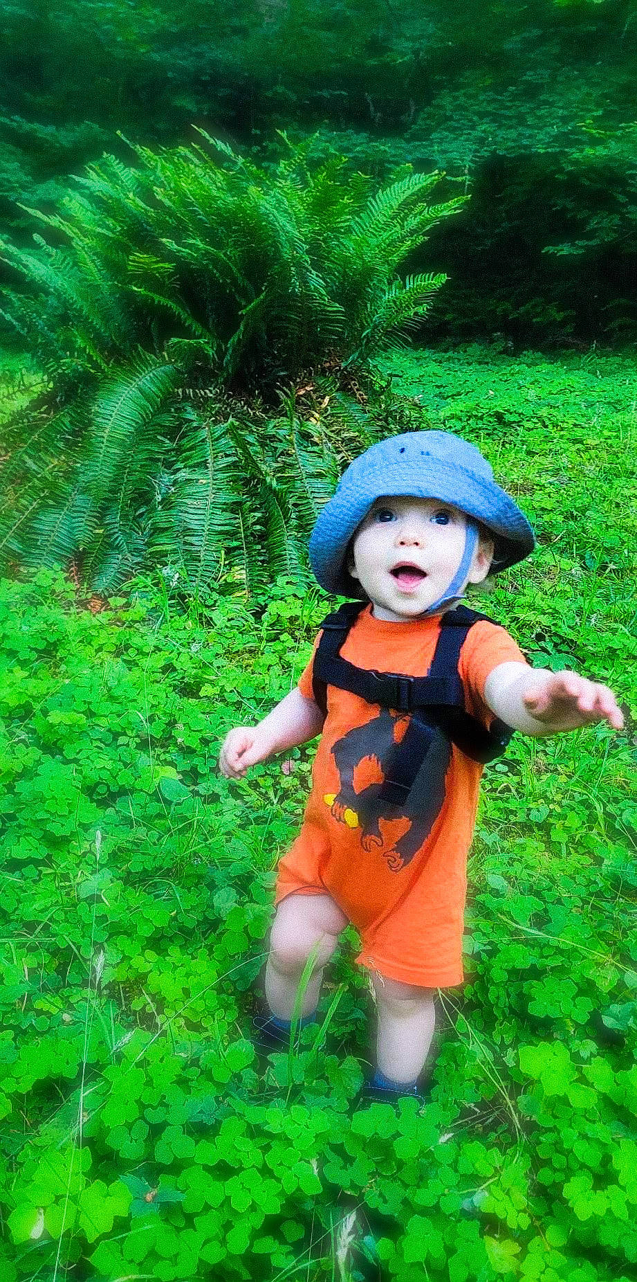 Barrett is registered to the contest to win money with this photo: fictional_character, grass, grassland, green, groundcover, happy, hat, headgear, headwear, landscape, lawn, lawn_ornament, meadow, natural_landscape, people_in_nature, person, personal_protective_equipment, plant, shrub, sun_hat