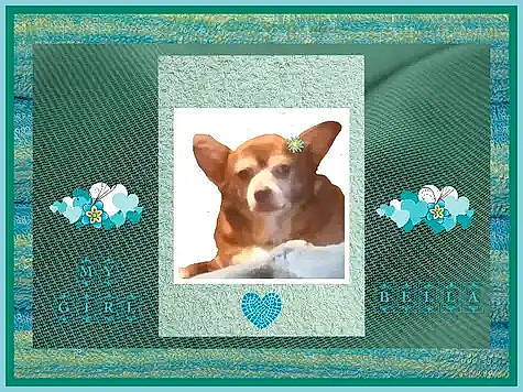 Bella is registered to the contest to win money with this photo: art, canidae, carnivore, companion_dog, creative_arts, dog, dog_breed, fawn, font, illustration, liver, paper_product, pattern, pet_supply, rectangle, snout, sporting_group, square, technology, working_animal