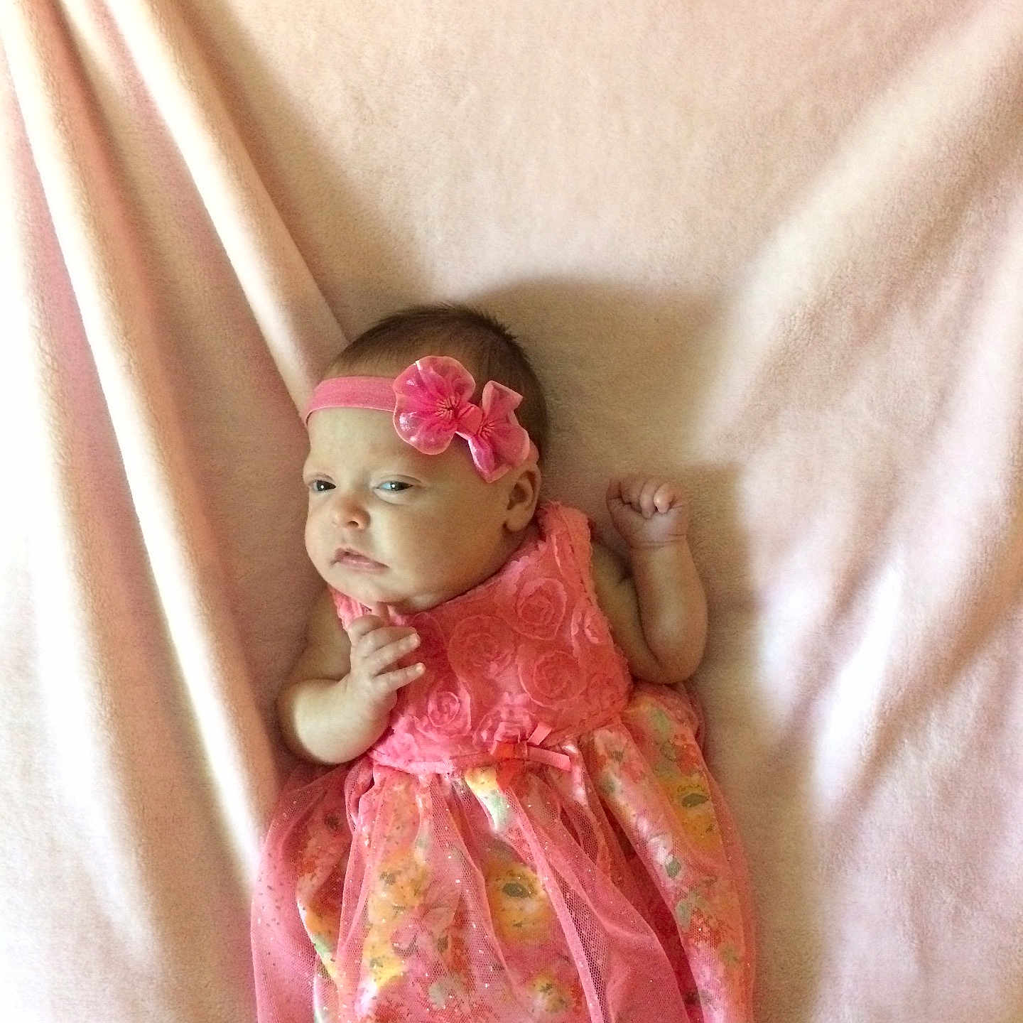 Kathleen joined the competition — help win amazing prizes! close_up, finger, flesh, flower, jaw, lip, mouth, petal, pink