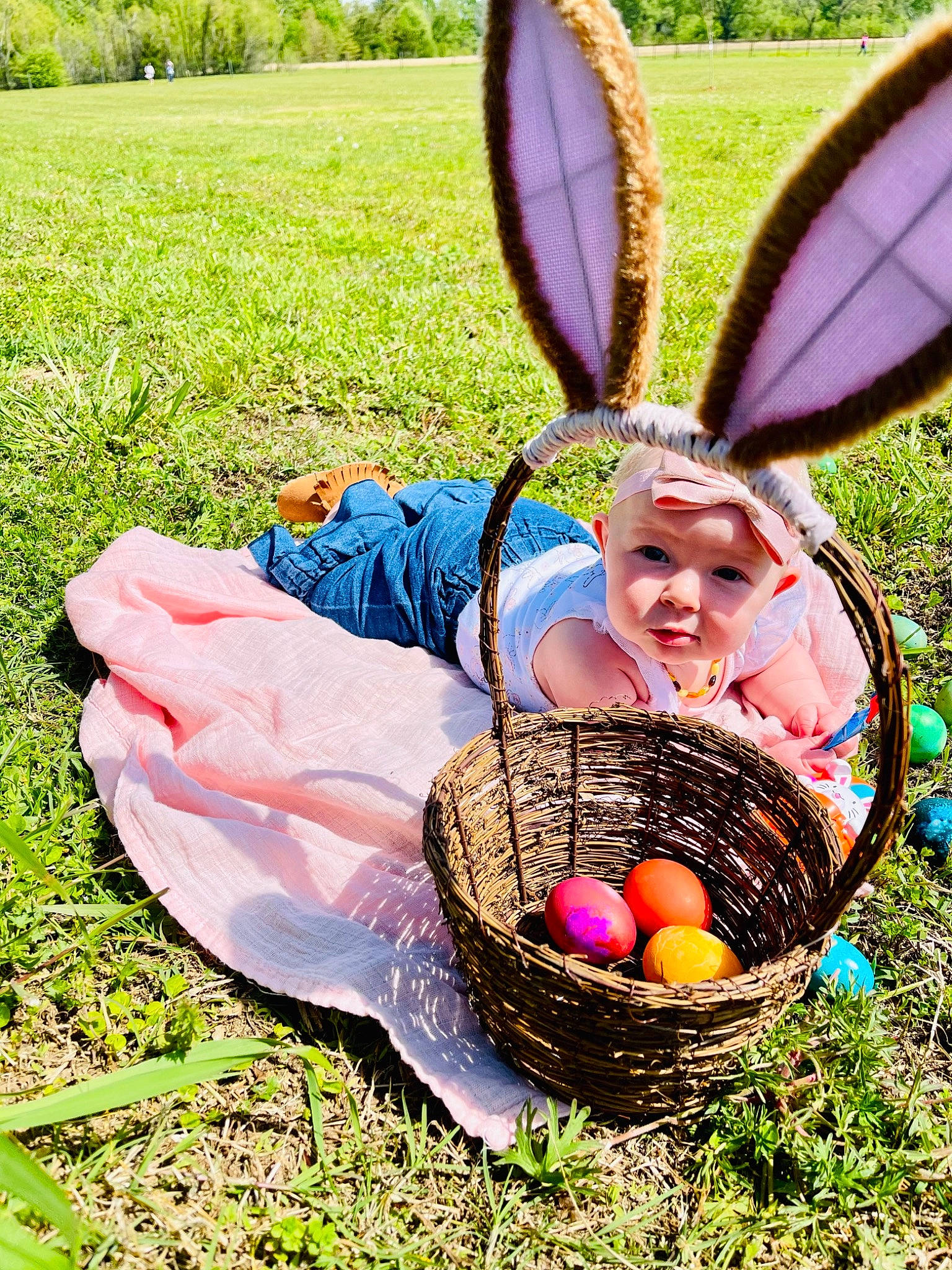 Sterling joined the competition — help win amazing prizes! basket, easter, easter_egg, egg, event, fashion_accessory, fun, grass, grass_family, grassland, green, happy, headwear, holiday, lawn, leisure, people_in_nature, person, plant, sitting
