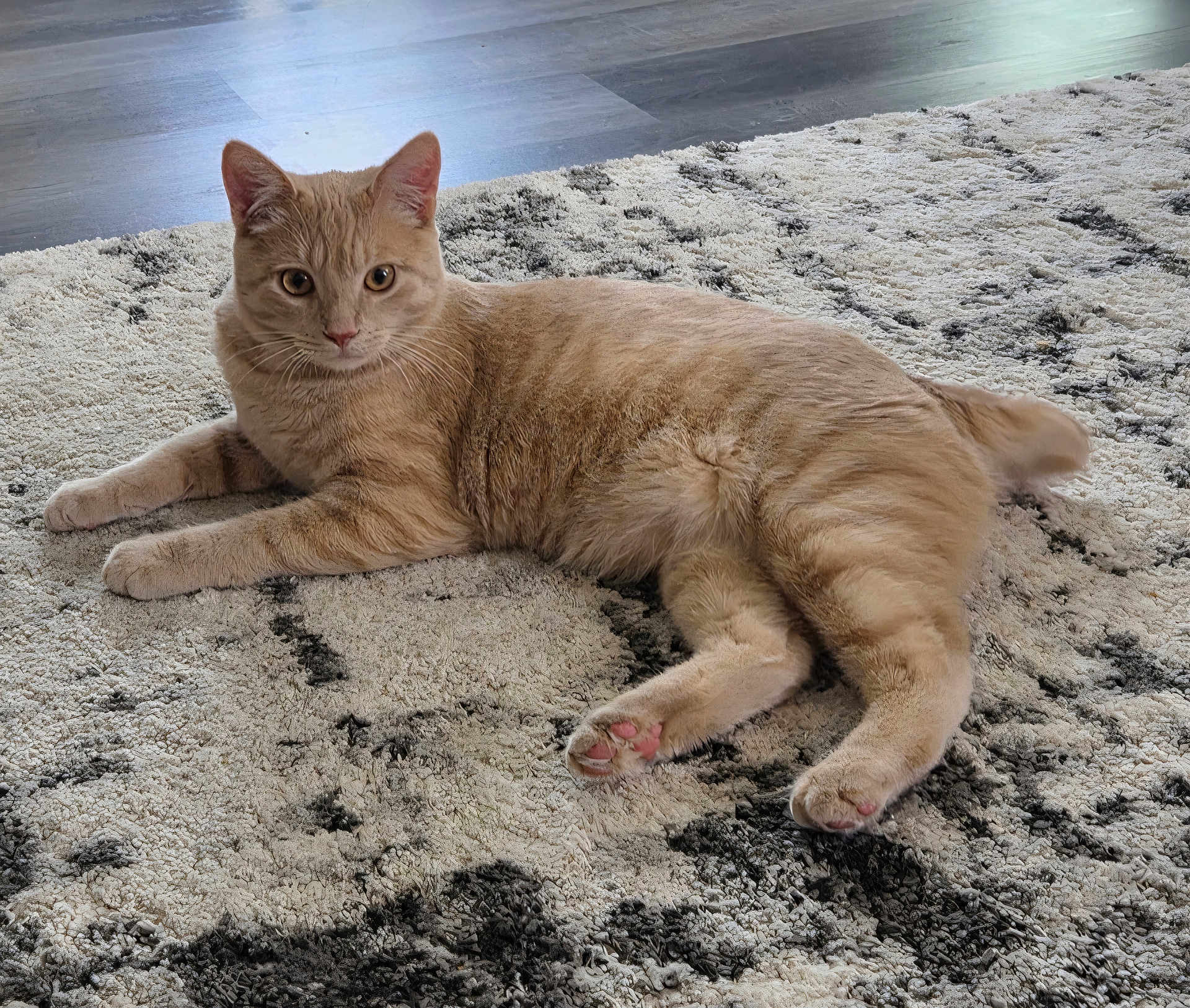 Hudson