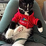 cat, tuxedo_cat, kitten, pet, animal, black_and_white, red_hoodie, clothing, sea_world, sitting, lounging, chair, paw, pink_paw_pads, whiskers, green_chair, indoor, portrait, cute, relaxed