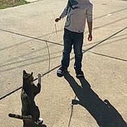 Ellie joined the competition — help win amazing prizes! child, cat, outdoor, play, stick, shadow, pavement, sunlight, casual_clothing, jeans, sneakers, long_sleeve_shirt, animal, pet, young, curious, interaction, daylight, fun, nature