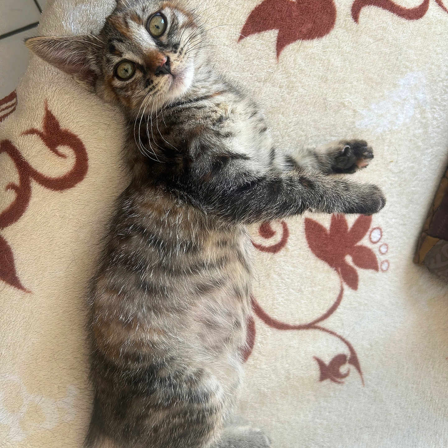 Mimi