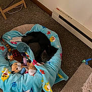 Lilly is registered to the contest to win money with this photo: cat, cats, pet_bed, blanket, toys, carpet, indoor, cozy, sleeping, snuggling, black_cat, gray_cat, plush, floor, heater, corner, relaxation, cute, animal, companionship