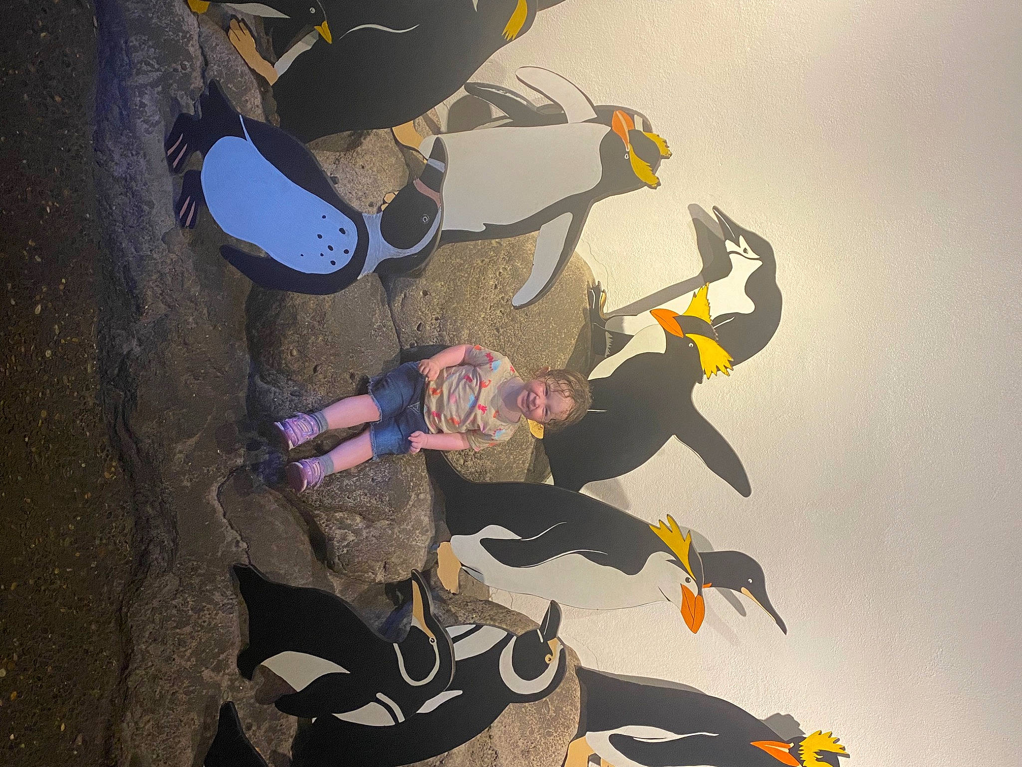 Amber is registered to the contest to win money with this photo: adventure, art, carmine, extreme_sport, fun, gesture, graphic_design, graphics, joy, person, personal_protective_equipment, recreation, shadow, visual_arts