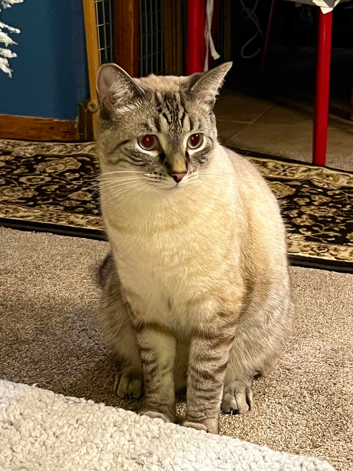 Dudley