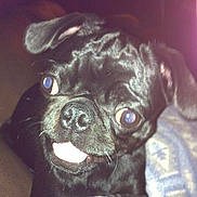 Jetta joined the competition — help win amazing prizes!