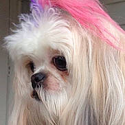 Maggie is registered to the contest to win money with this photo: