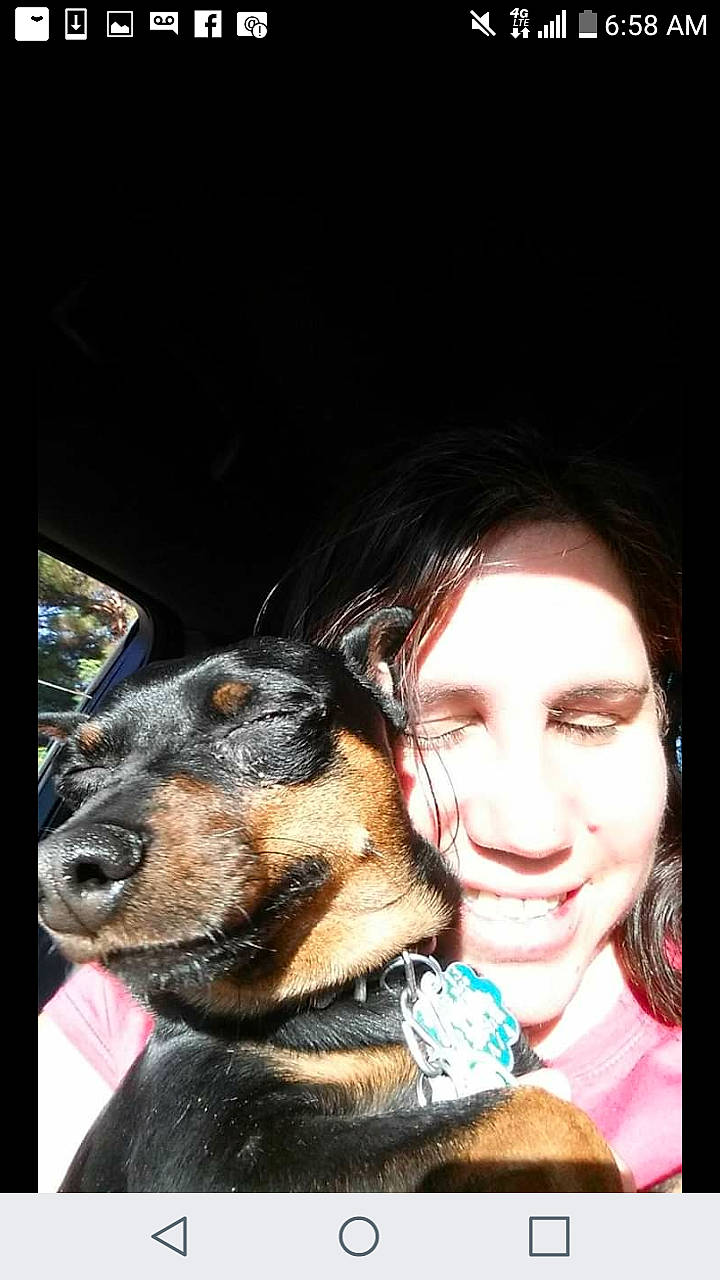Mac joined the competition — help win amazing prizes! canidae, carnivore, cool, dog, dog_breed, ear, fun, guard_dog, human, miniature_pinscher, nose, photography, puppy_love, selfie, skin, smile, snout
