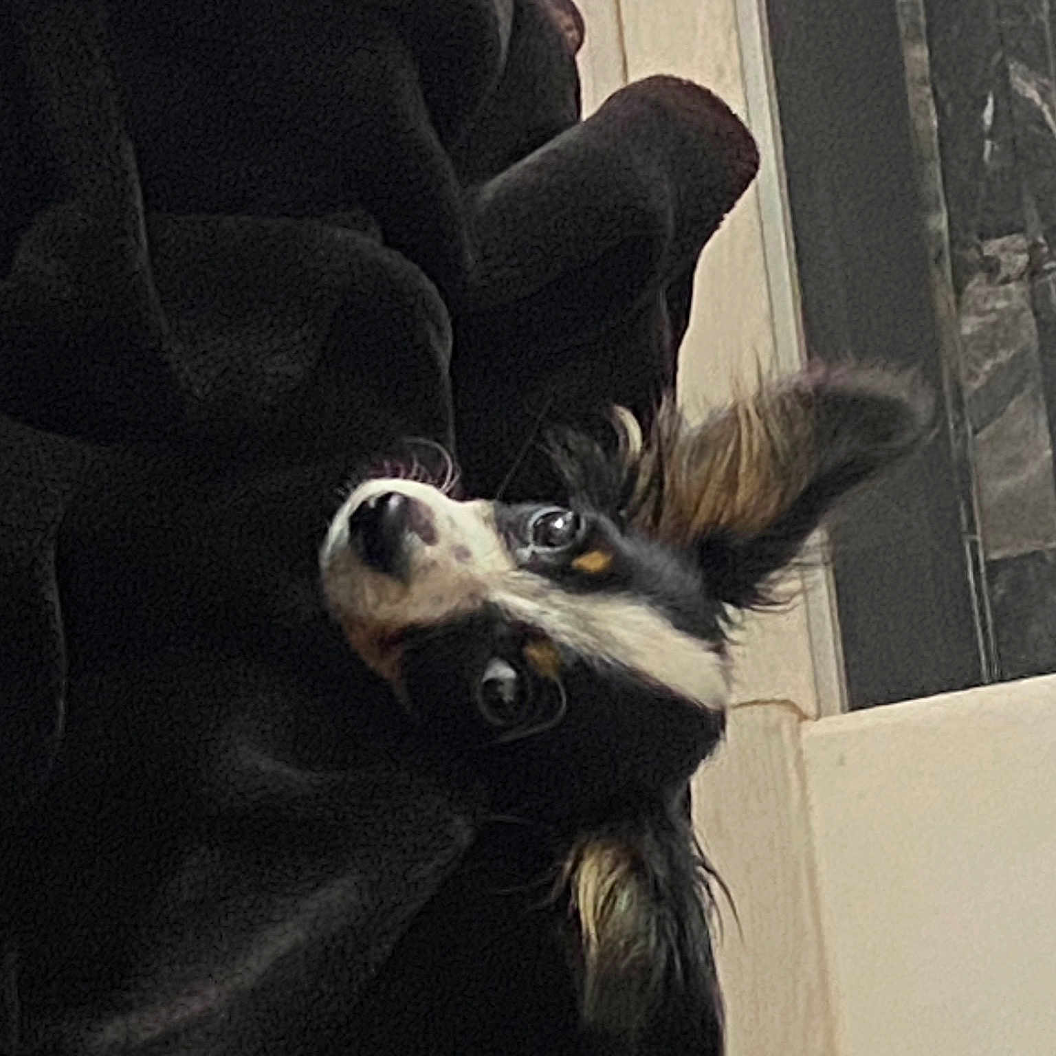 Ugo
