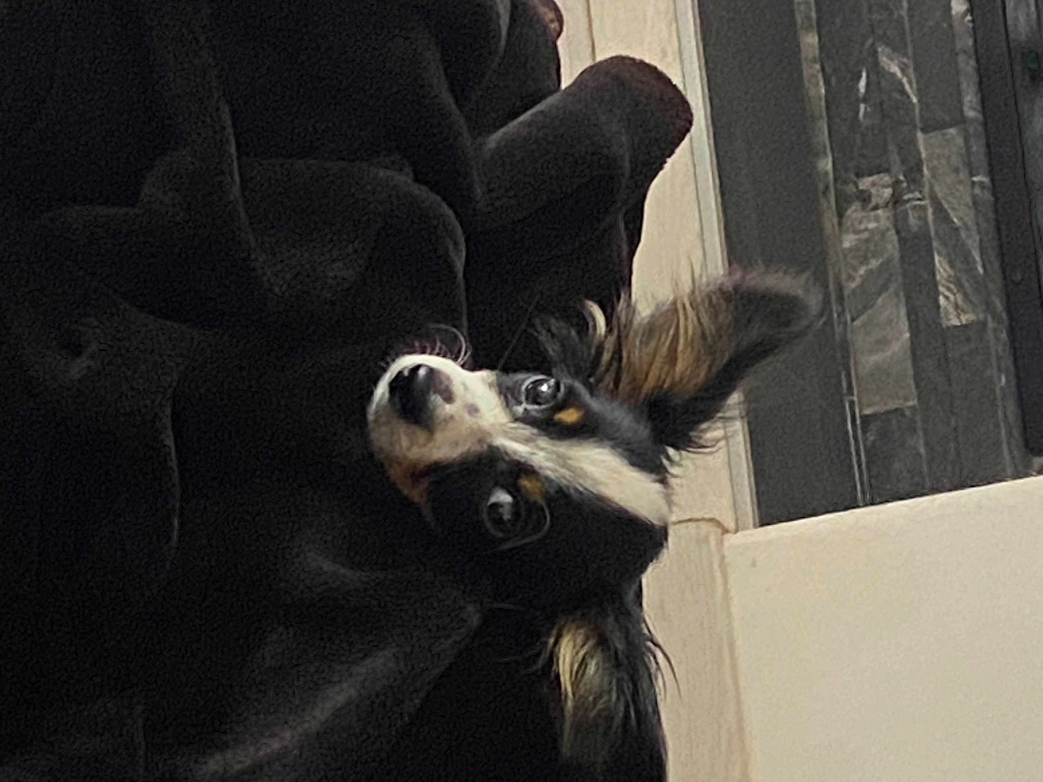 Ugo