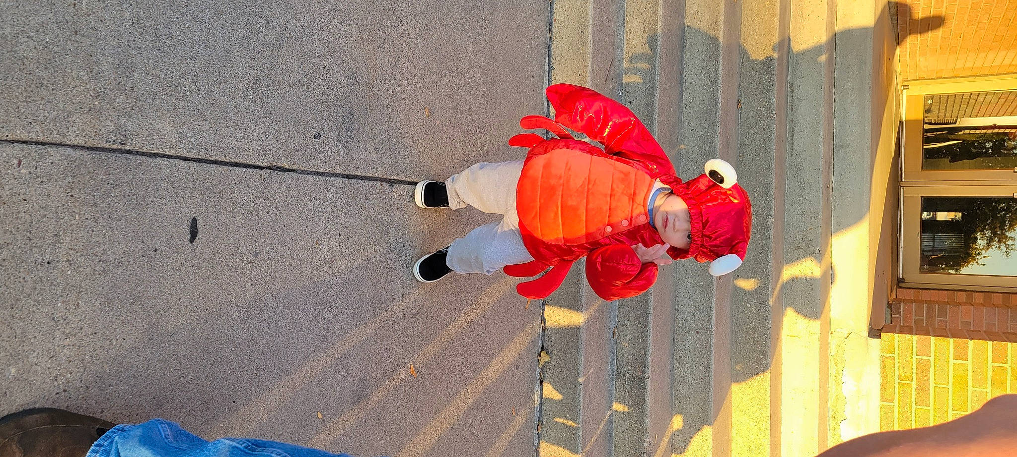 Alexander joined the competition — help win amazing prizes! carmine, cleanliness, climbing_harness, concrete, coquelicot, flooring, headwear, outdoor_shoe, person, recreation, road_surface, rock_climbing_equipment, rope, rope_rhythmic_gymnastics, shadow, sidewalk, walking_shoe, wood