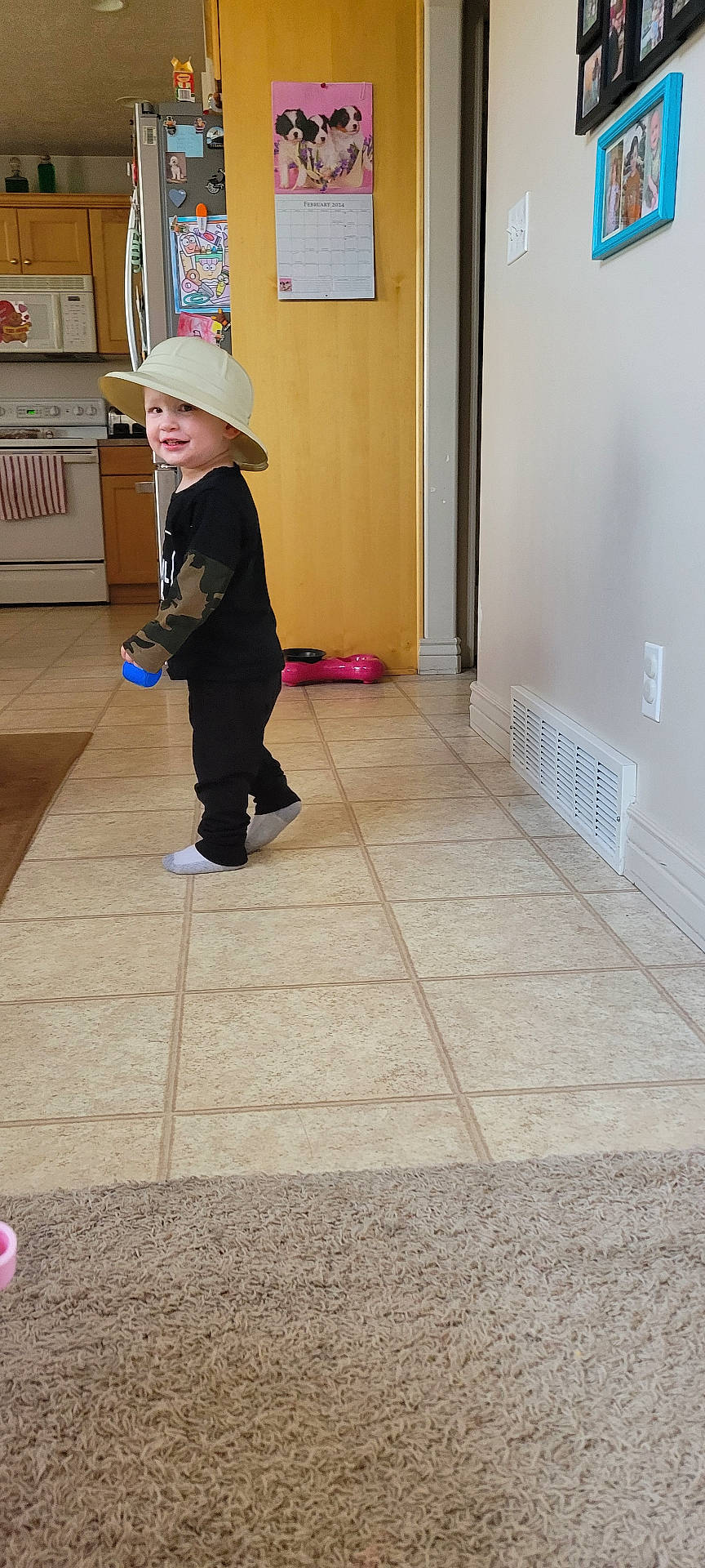 Alexander joined the competition — help win amazing prizes! accessories, animal, appliance, architecture, art, bag, blazer, bodypart, bonnet, bookcase, boy, brush, building, cabinet, canine, cap, child, clothing, coat, costume