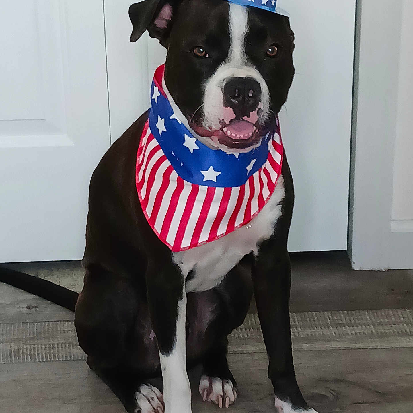 Mel