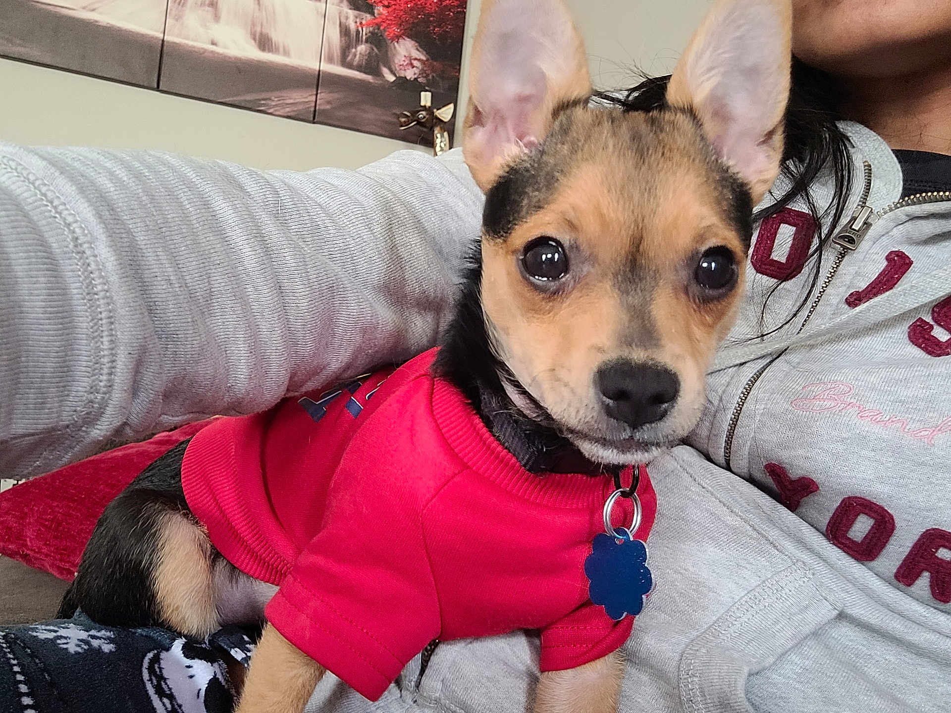 Niko