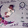 baby, newborn, sleeping, blanket, crescent_moon, floral_pattern, headband, onesie, purple, pink_socks, calendar, age_tracker, wreath, flowers, stars, cute, infant, resting, cozy, soft