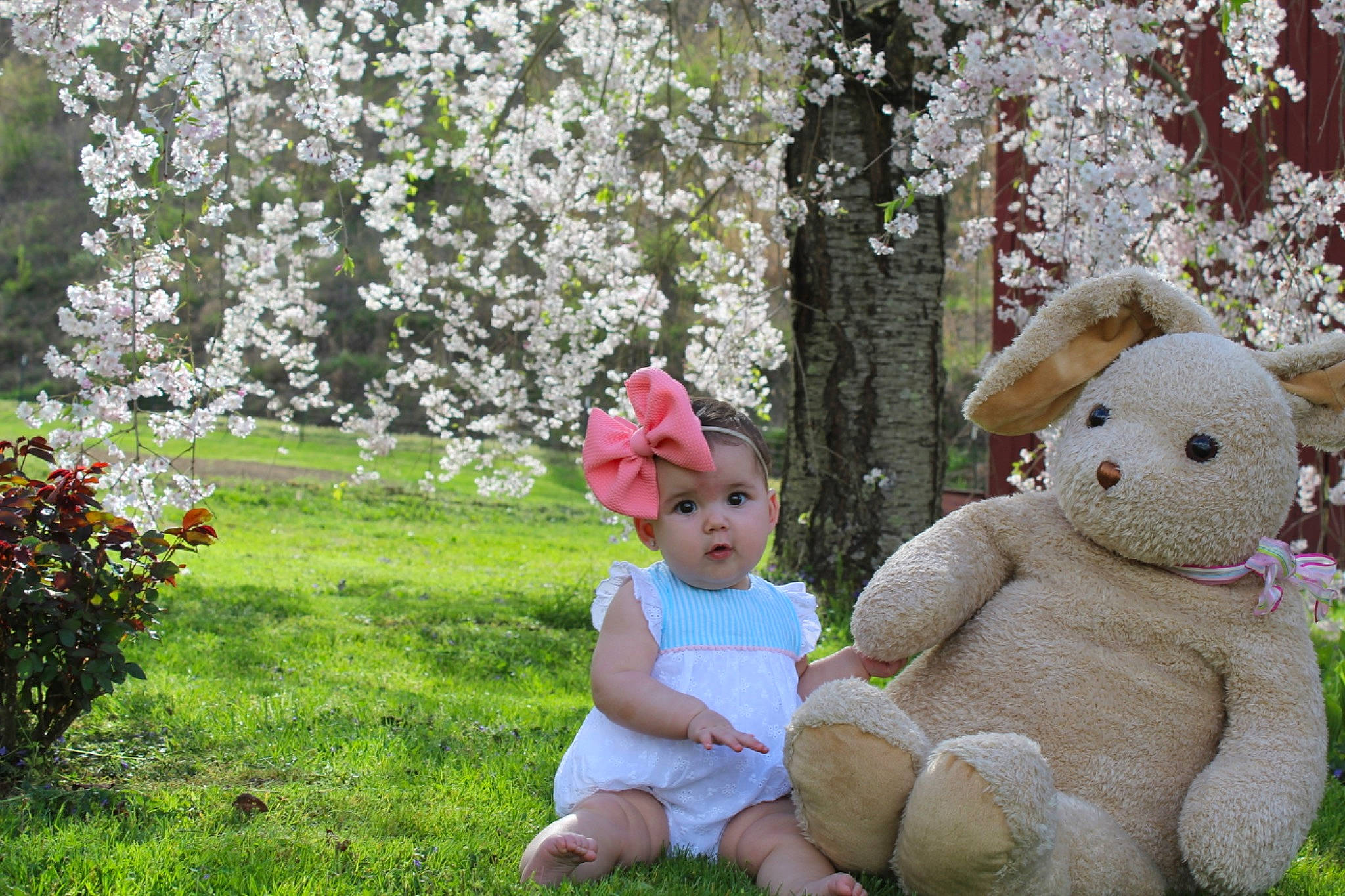 Hadlee joined the competition — help win amazing prizes! baby, blossom, botany, child, fawn, flower, garden, grass, happy, headwear, magnolia, person, pink, plant, spring, teddy_bear, toddler, toy, tree