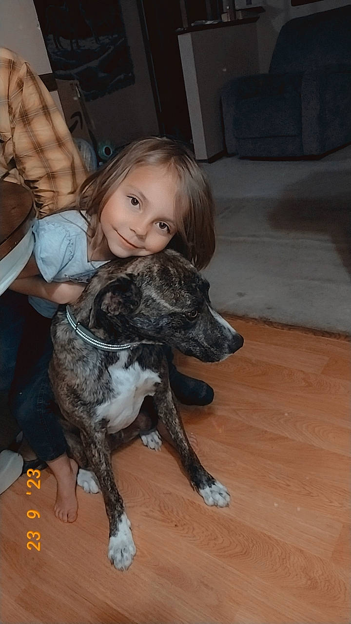 Laylony joined the competition — help win amazing prizes! canidae, carnivore, companion_dog, dog, dog_breed, fawn, flooring, foot, fun, fur, guard_dog, happy, hardwood, joy, person, sitting, smile, sporting_group, toddler, wood