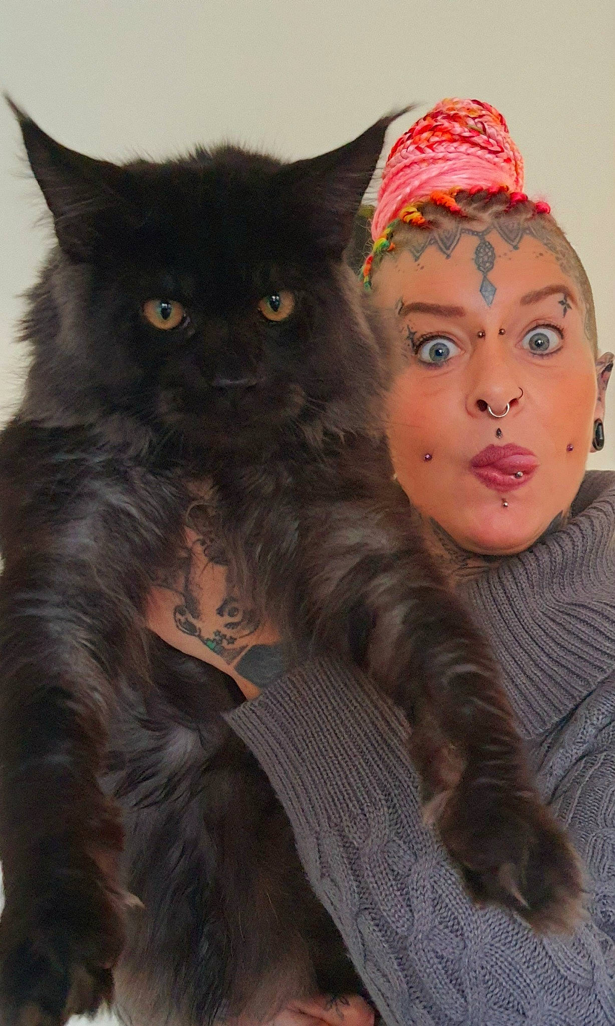 Ulysse a rejoint le concours — aidez-le/la à gagner de superbes lots ! black_cat, cap, carnivore, cat, claw, costume_hat, eye, fashion_accessory, fashion_design, fawn, felidae, fictional_character, fur, headpiece, iris, small_to_medium_sized_cats, snout, tail, whiskers, wig