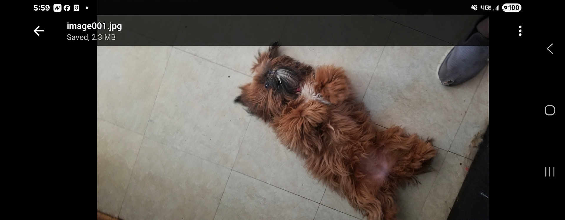 Sosa
