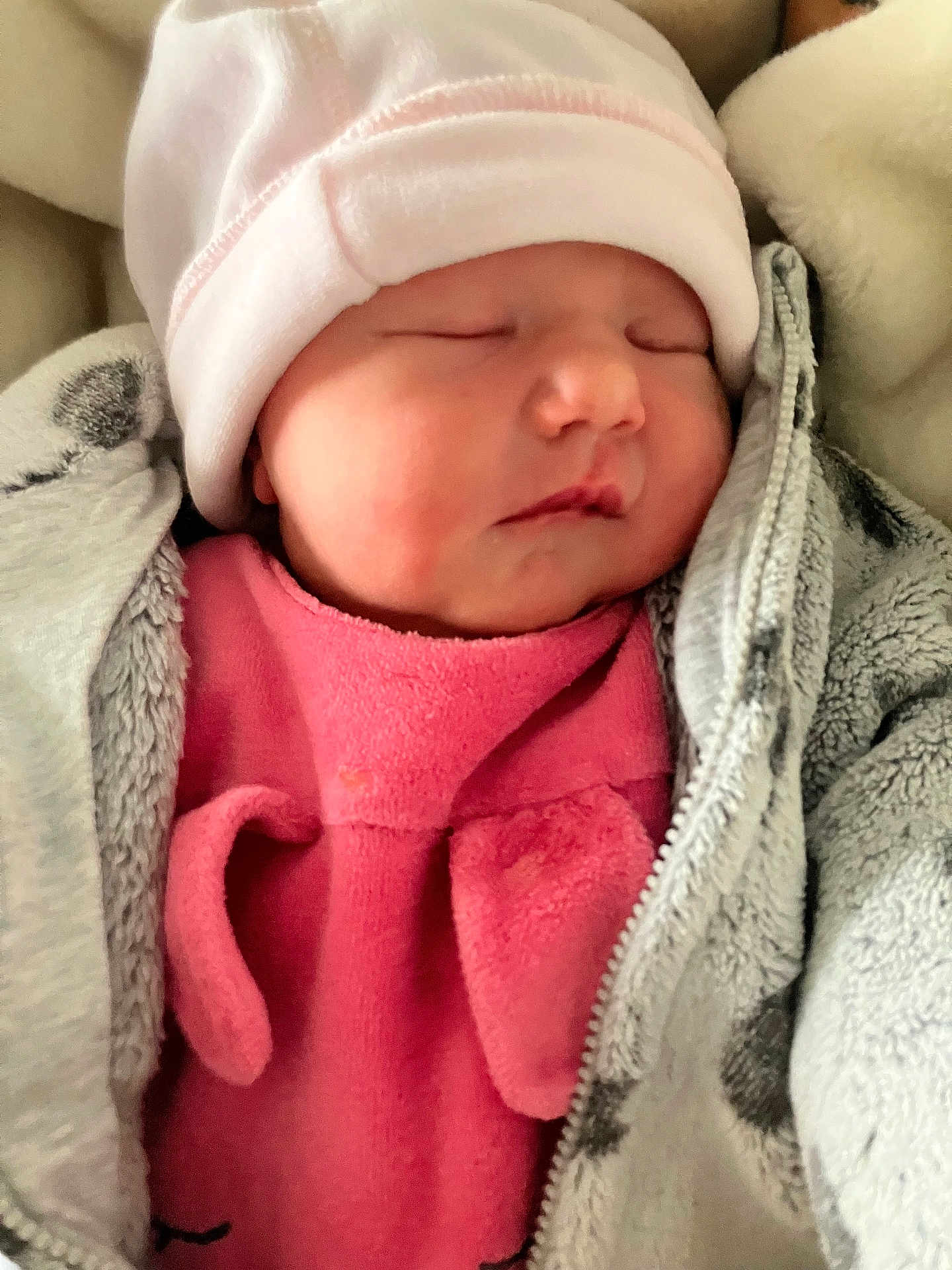 éva a rejoint le concours — aidez-le/la à gagner de superbes lots ! newborn, baby, sleeping, pink_hat, pink_clothing, blanket, cozy, soft_texture, closeup, infant, cute, face, child, warm, zipped_jacket, wrapped, resting, indoors, peaceful, portrait